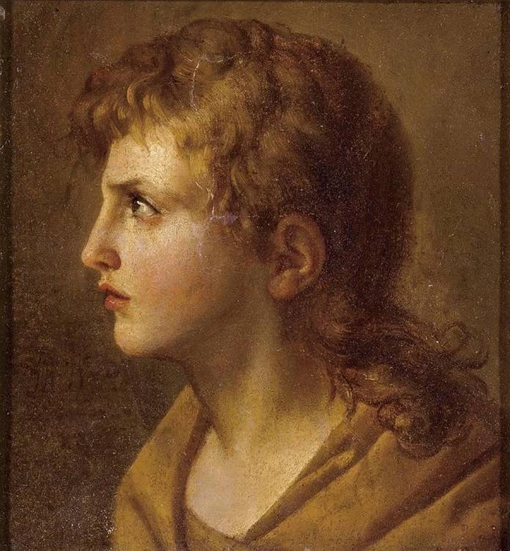 Jean - Baptiste Wicar, Testa di giovane uomo di profilo